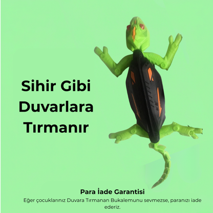 Duvara Tırmanan Geko