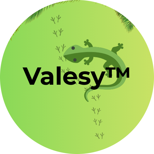 Valesy™